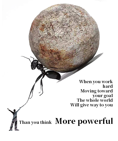 15660411754031782.jpg